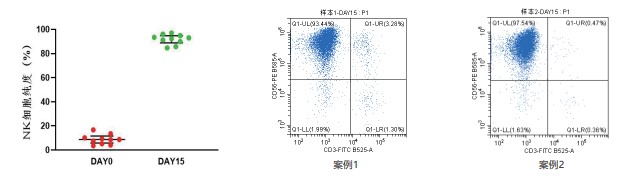 NK細胞陽性率.jpg