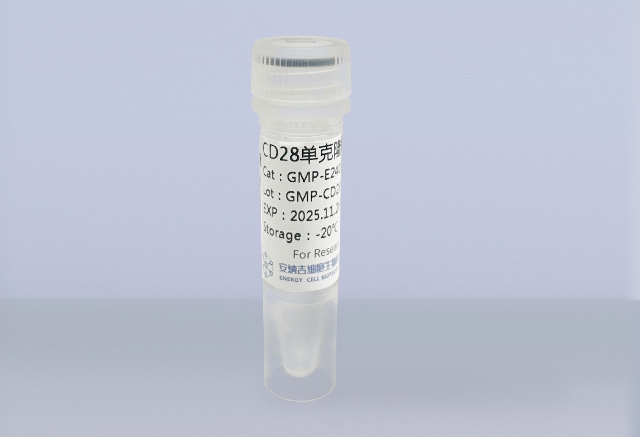 GMP級—CD28單克隆抗體