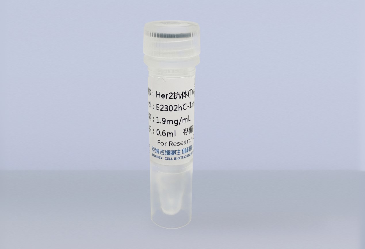 Her2單克隆抗體（Trastuzumab）