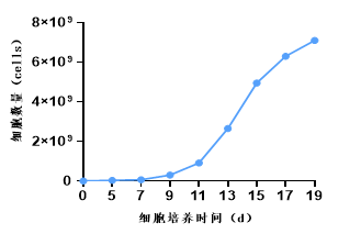 細(xì)胞培養(yǎng)時(shí)間.png 細(xì)胞培養(yǎng)時(shí)間.png
