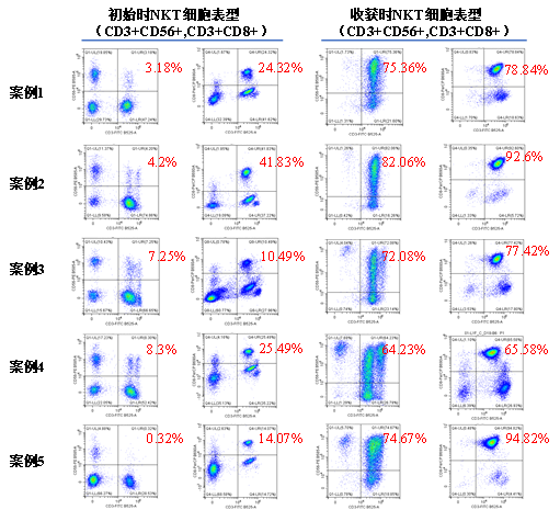 NKT細(xì)胞培養(yǎng)案例分享.png NKT細(xì)胞培養(yǎng)案例分享.png